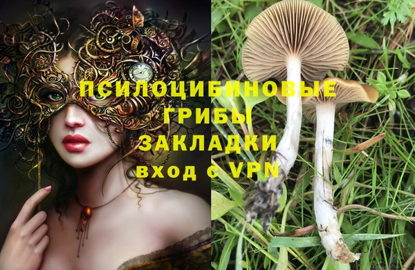 шишки Алексин