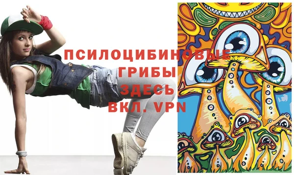 шишки Алексин